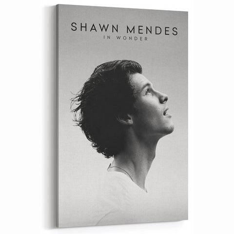2020s Vintage Movie Poster - Shawn Mendes: In Wonder Documentary Art