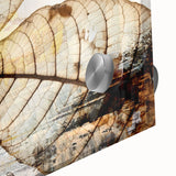 Colorful abstract wall art canvas print showcasing vibrant shapes and fluid designs in shades of blue, orange, and yellow, perfect for modern decor.