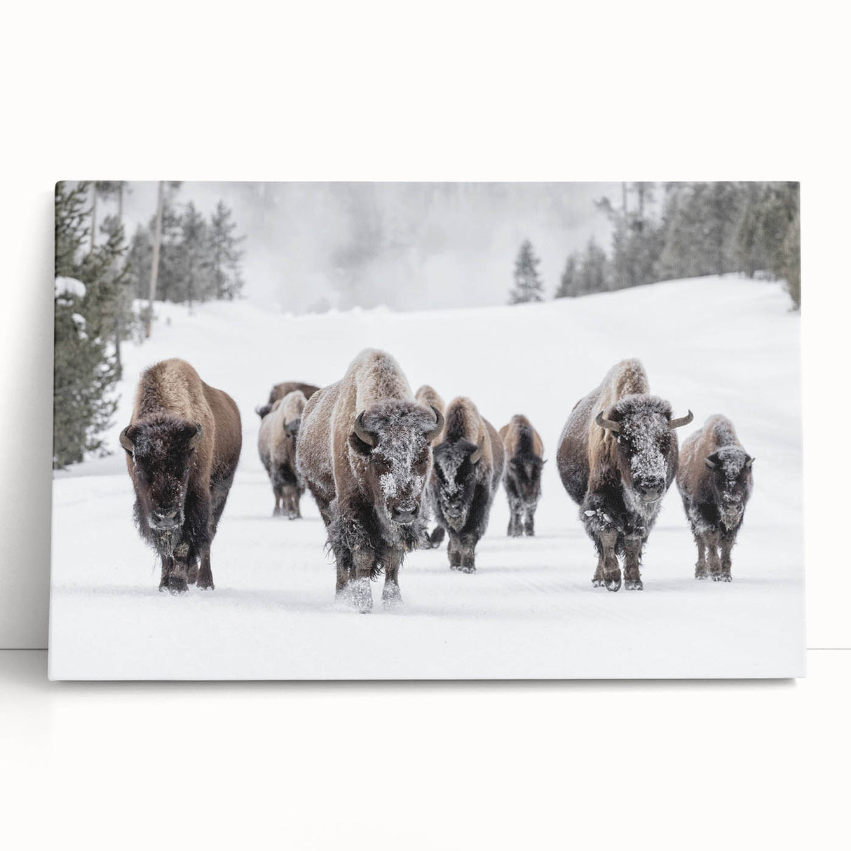 Vibrant close-up of a colorful animal-themed canvas print showcasing intricate details and textures, perfect for home decor enthusiasts and art lovers.