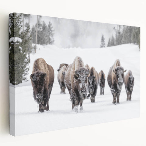 Vibrant animal-themed wall art print showcasing a colorful illustration of a majestic lion surrounded by lush foliage, ideal for home decor enthusiasts.
