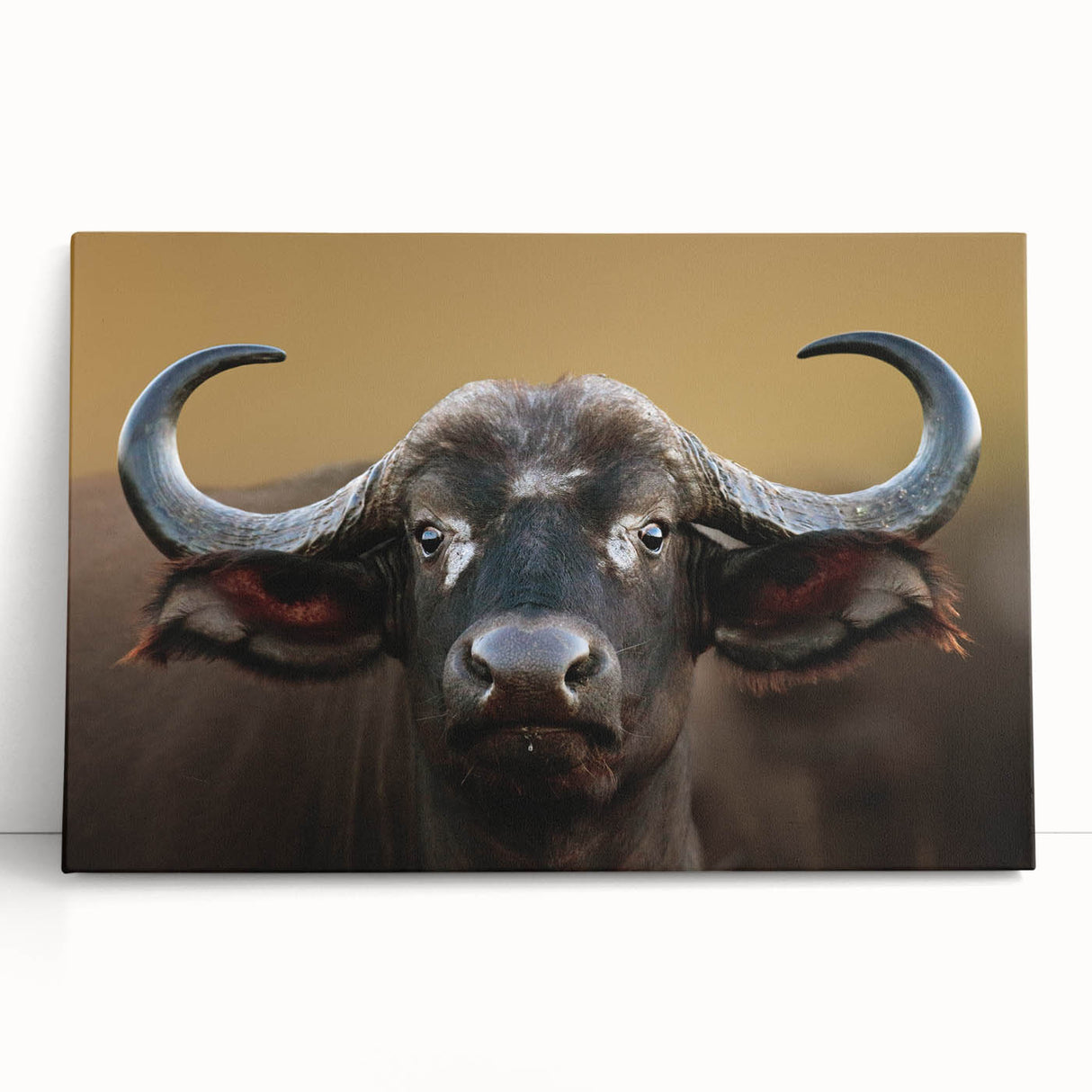 Vibrant animal-themed canvas art print showcasing a colorful depiction of wildlife against a textured background, rolled in a protective cardboard tube for shipping.