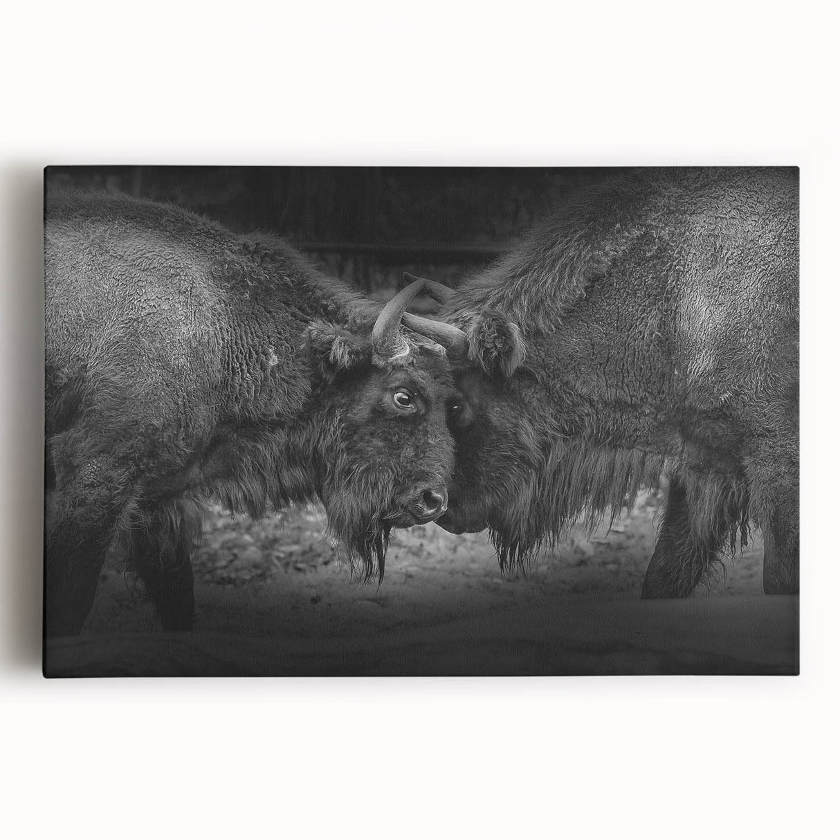 Vibrant wall art canvas print depicting a colorful animal design, showcasing intricate details and patterns, ideal for home decor and art enthusiasts.