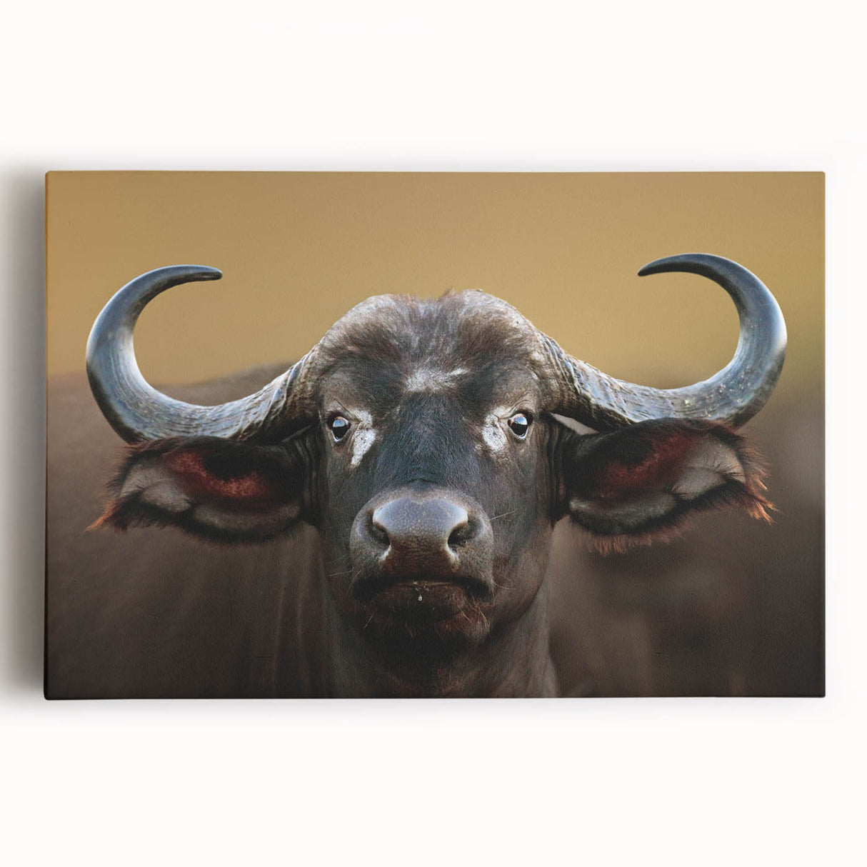 Colorful animal-themed canvas print showcasing a vibrant depiction of wildlife, featuring intricate details and textures, perfect for enhancing home decor.