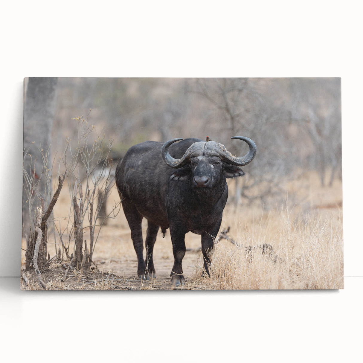 Colorful close-up of a textured African animal-themed canvas print showcasing vibrant patterns and intricate details, ideal for home decor and art enthusiasts.