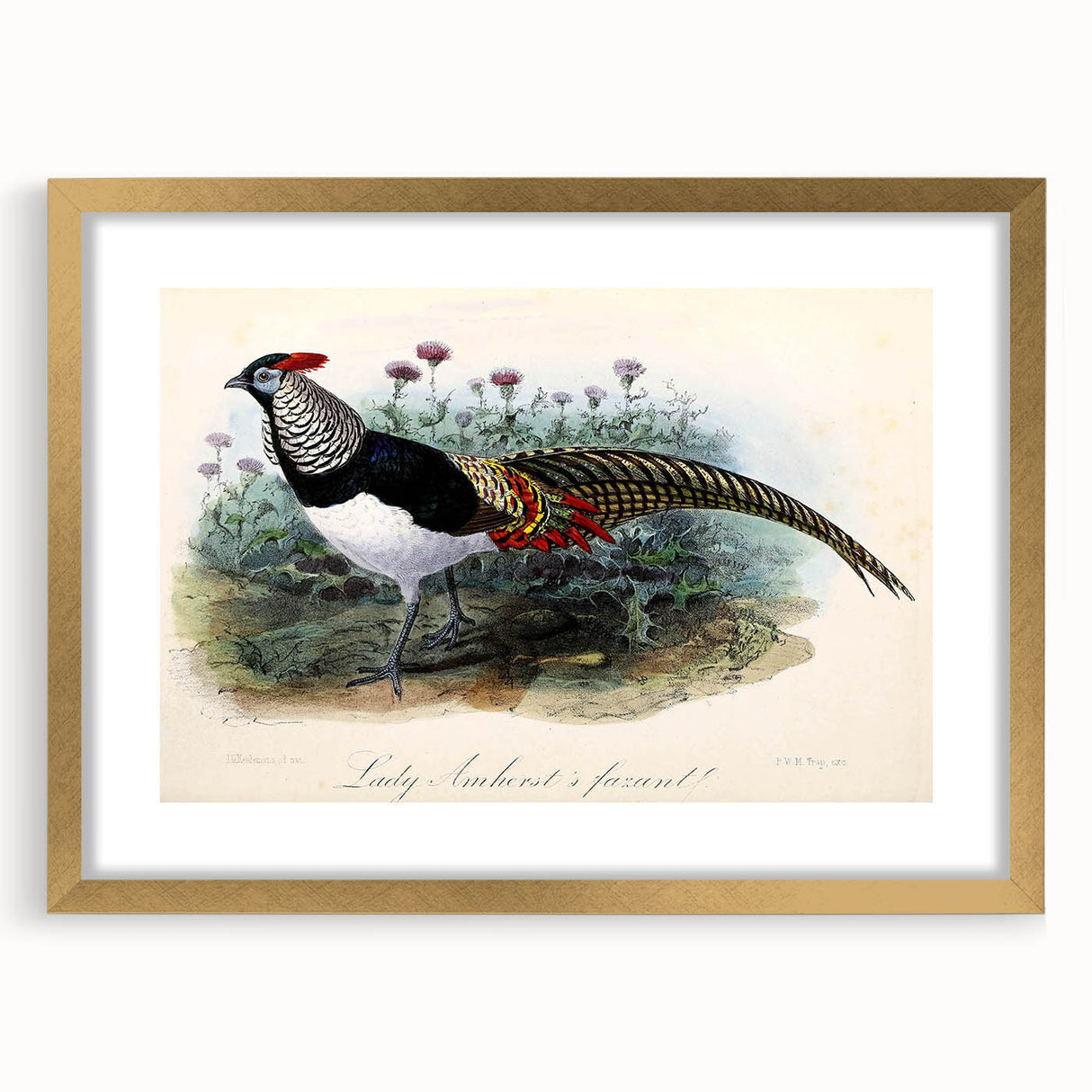 Elegant gold-framed picture mat showcasing a vibrant artwork, ideal for home decor or gallery display, highlighting intricate details and luxurious design.