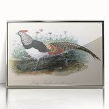 Framed acrylic photo showcasing a sleek silver finish, capturing a modern aesthetic suitable for contemporary home decor. Ideal for enhancing interior spaces.