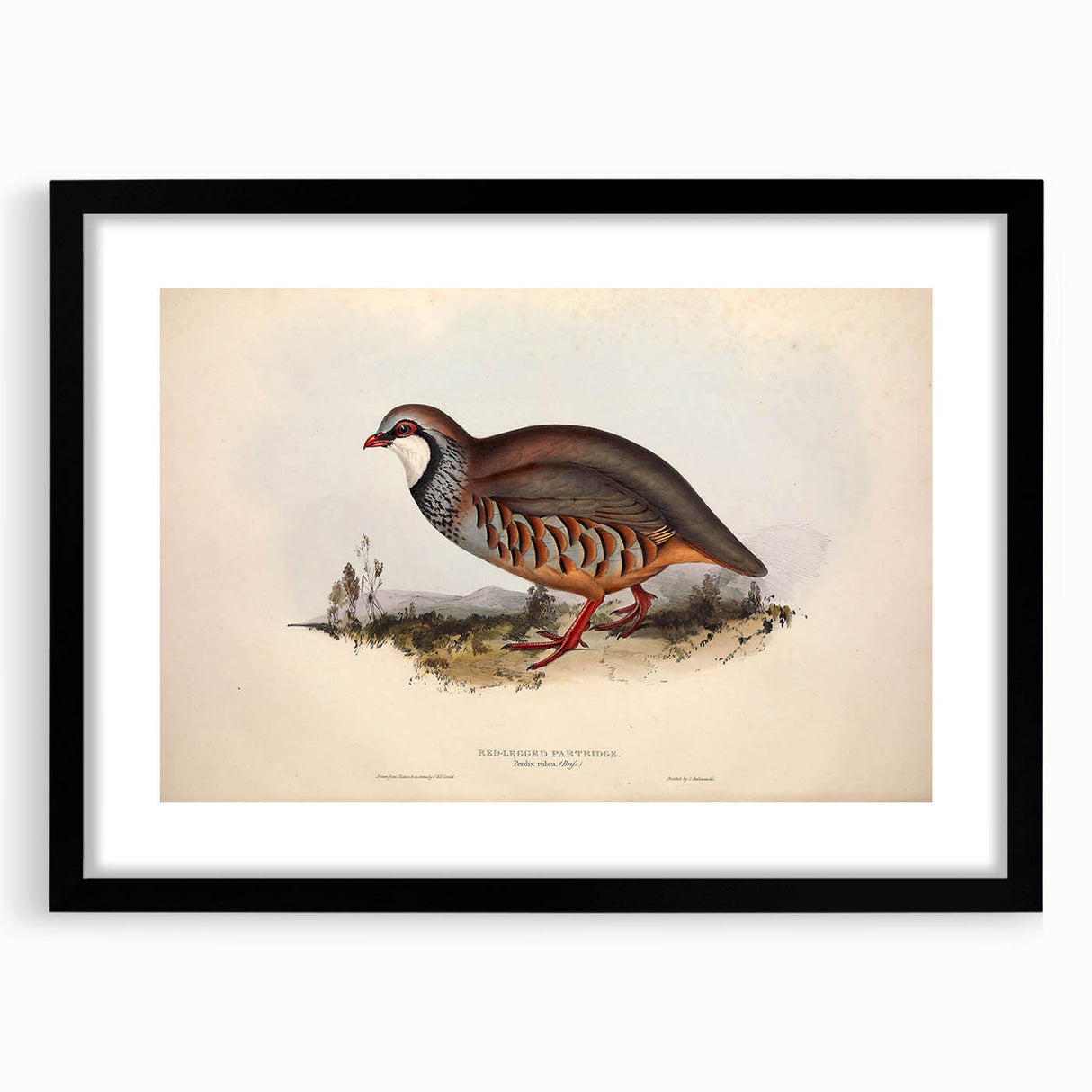 Black frame with mat, showcasing a vibrant landscape artwork, positioned against a neutral background, ideal for enhancing home decor. Perfect for art enthusiasts and interior designers.