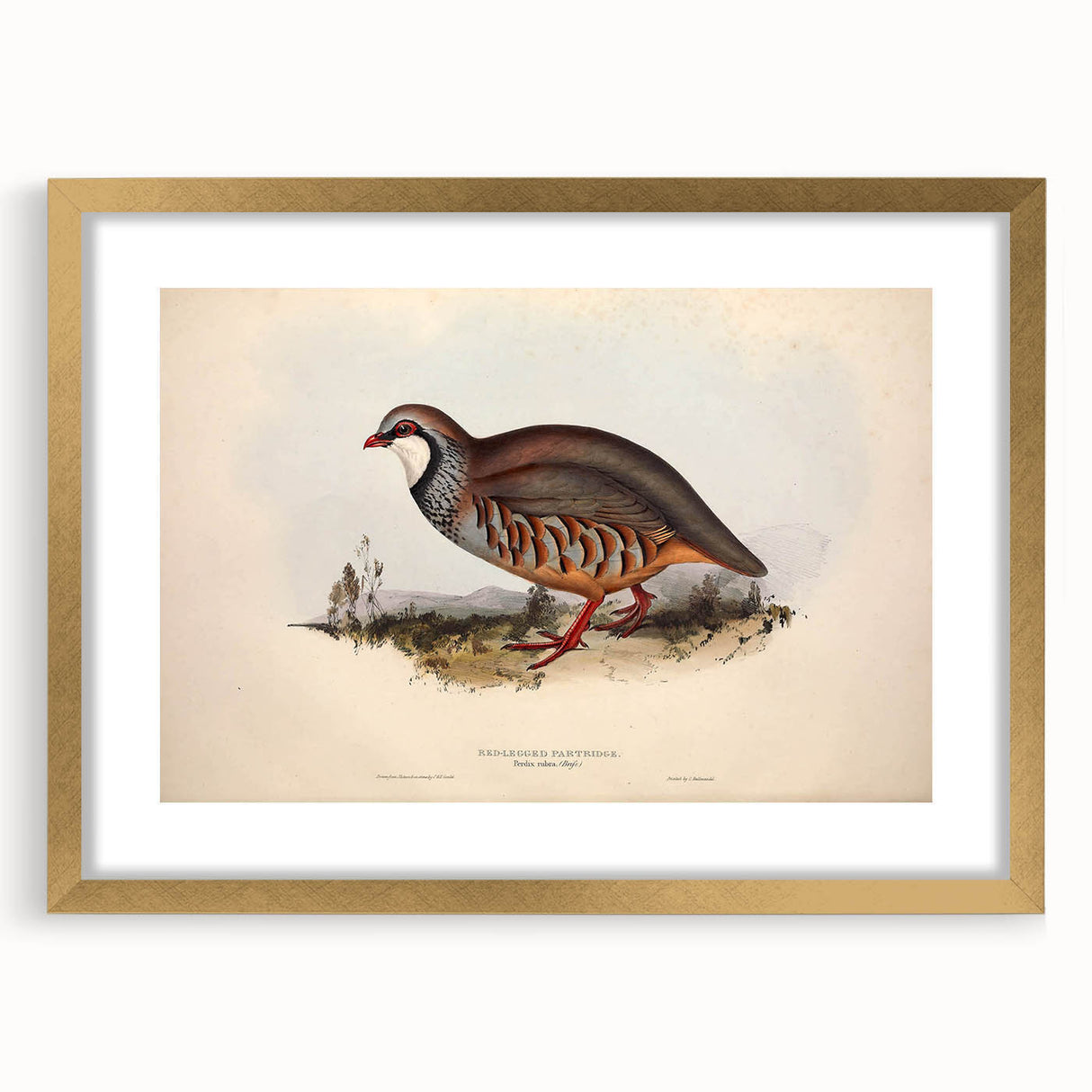 Elegant gold-framed picture mat showcasing a front view of a vibrant landscape painting. The frame's rich gold finish adds a touch of luxury, enhancing the artwork's visual appeal. Ideal for home decor or gallery displays, this framed piece beautifully complements various interior styles.