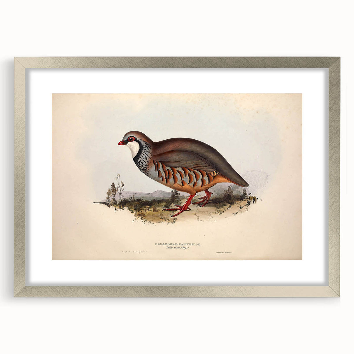 Elegant silver frame with a white mat, showcasing a front view of an art piece, ideal for modern decor and enhancing home aesthetics. Perfect for galleries or personal spaces.