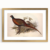 Elegant gold frame showcasing a matted artwork, viewed from the front, perfect for home decor or gallery display, enhancing any interior with sophistication.