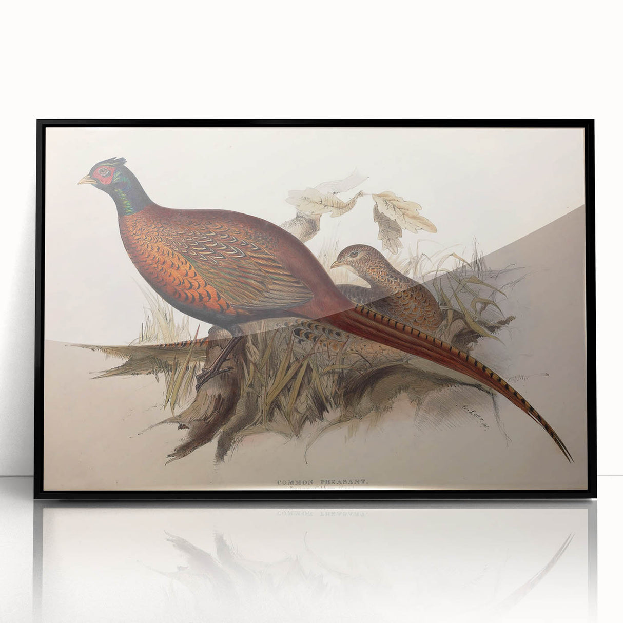 Framed acrylic artwork showcasing a black abstract design with a glossy finish, emphasizing modern aesthetics and ideal for contemporary interior decor.