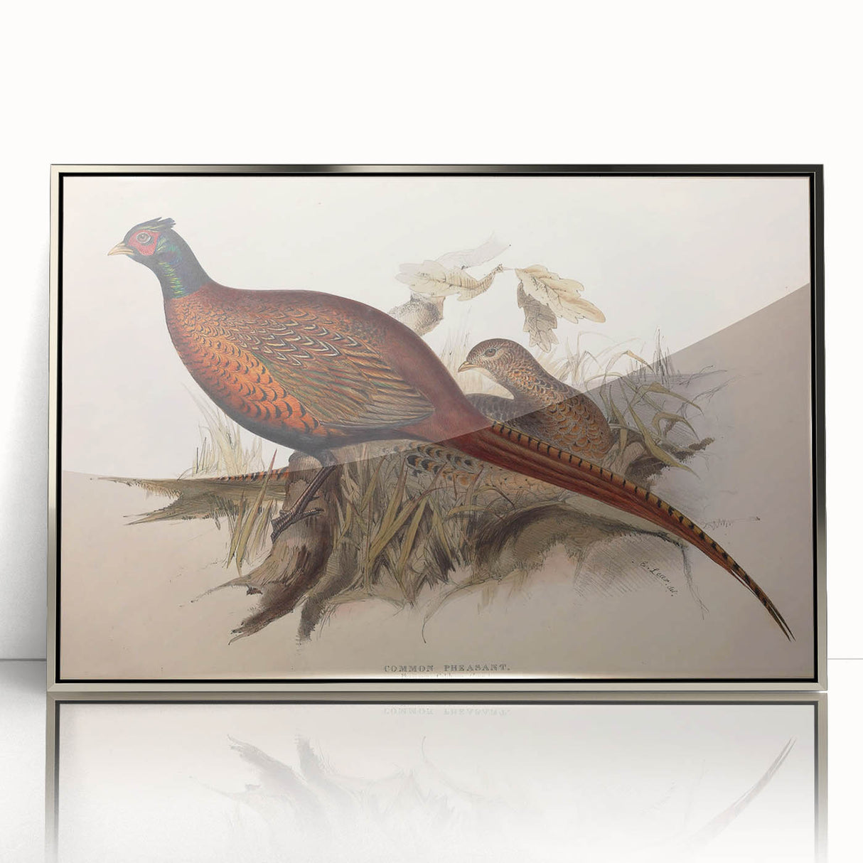 Framed acrylic artwork showcasing a sleek silver design, viewed from the front, perfect for modern home decor. Ideal for enhancing contemporary interiors.