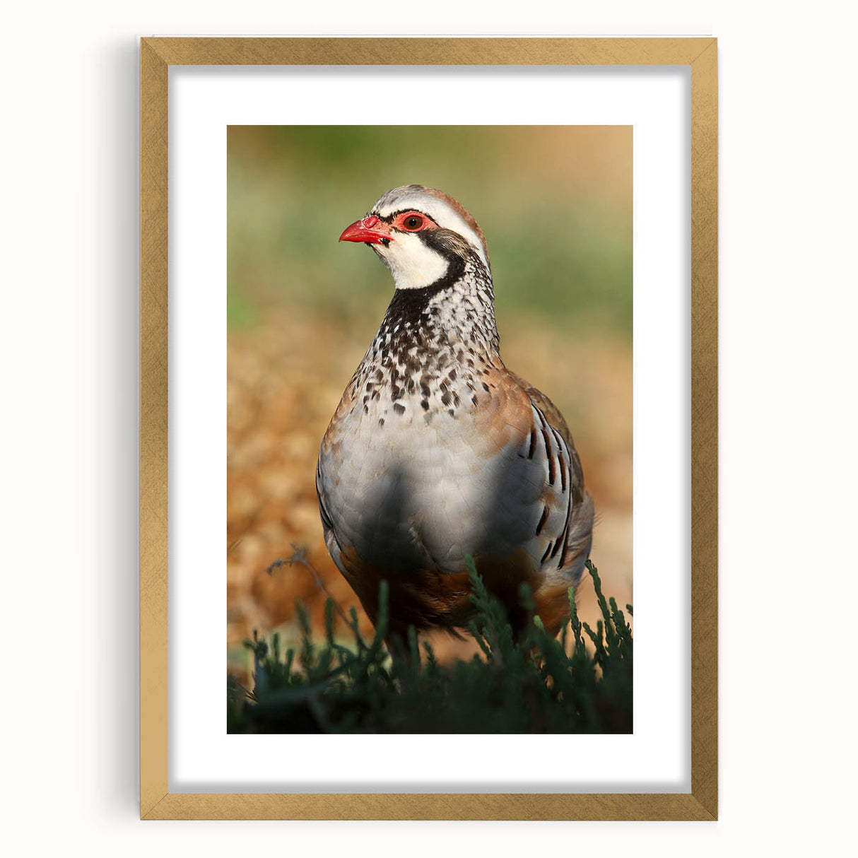 Elegant gold-framed art piece with a white mat, showcasing a vibrant landscape painting. The frame has intricate detailing and a polished finish, perfect for enhancing home decor.