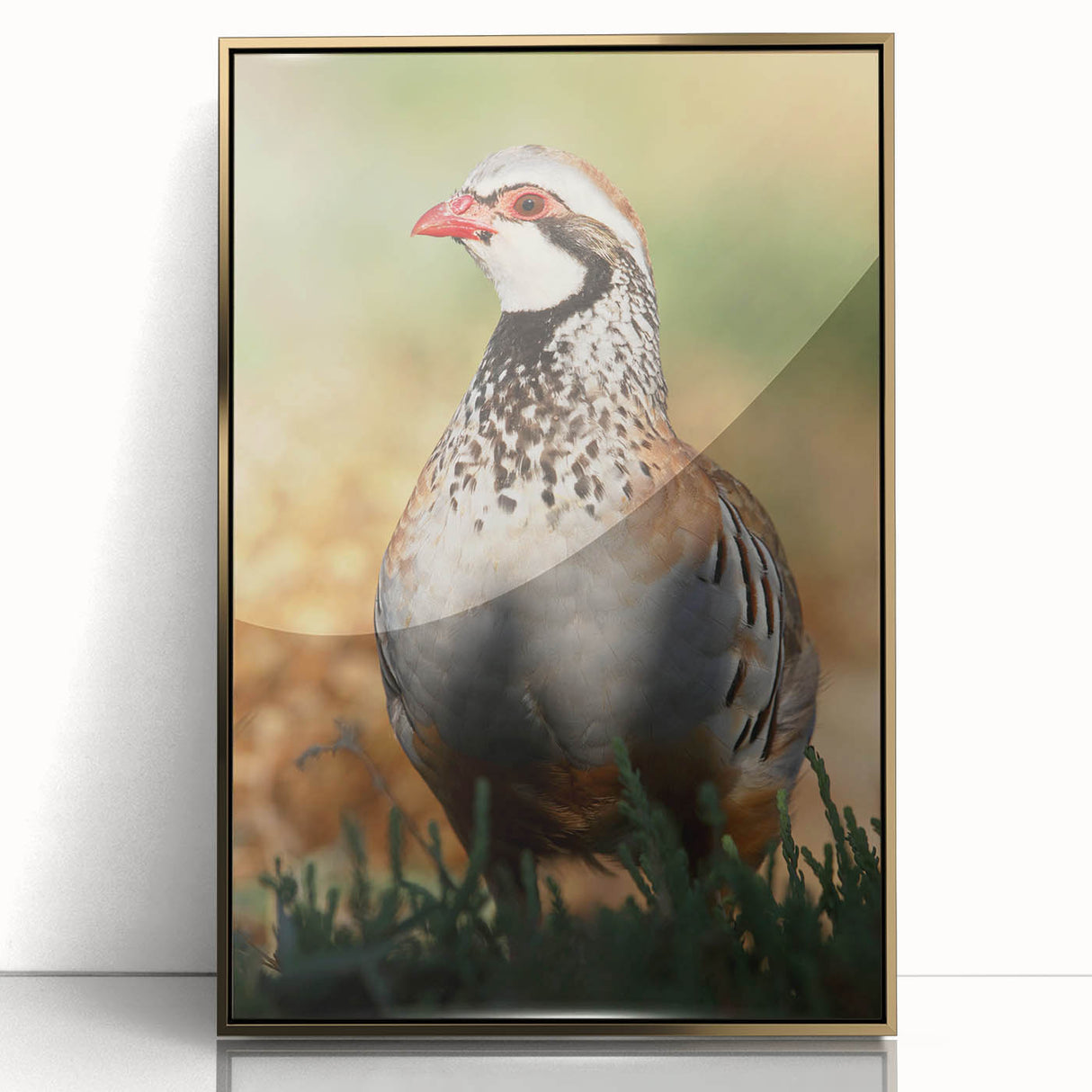 Framed acrylic wall art showcasing a vibrant gold abstract design, elegantly displayed from the front view, perfect for modern home decor accents.