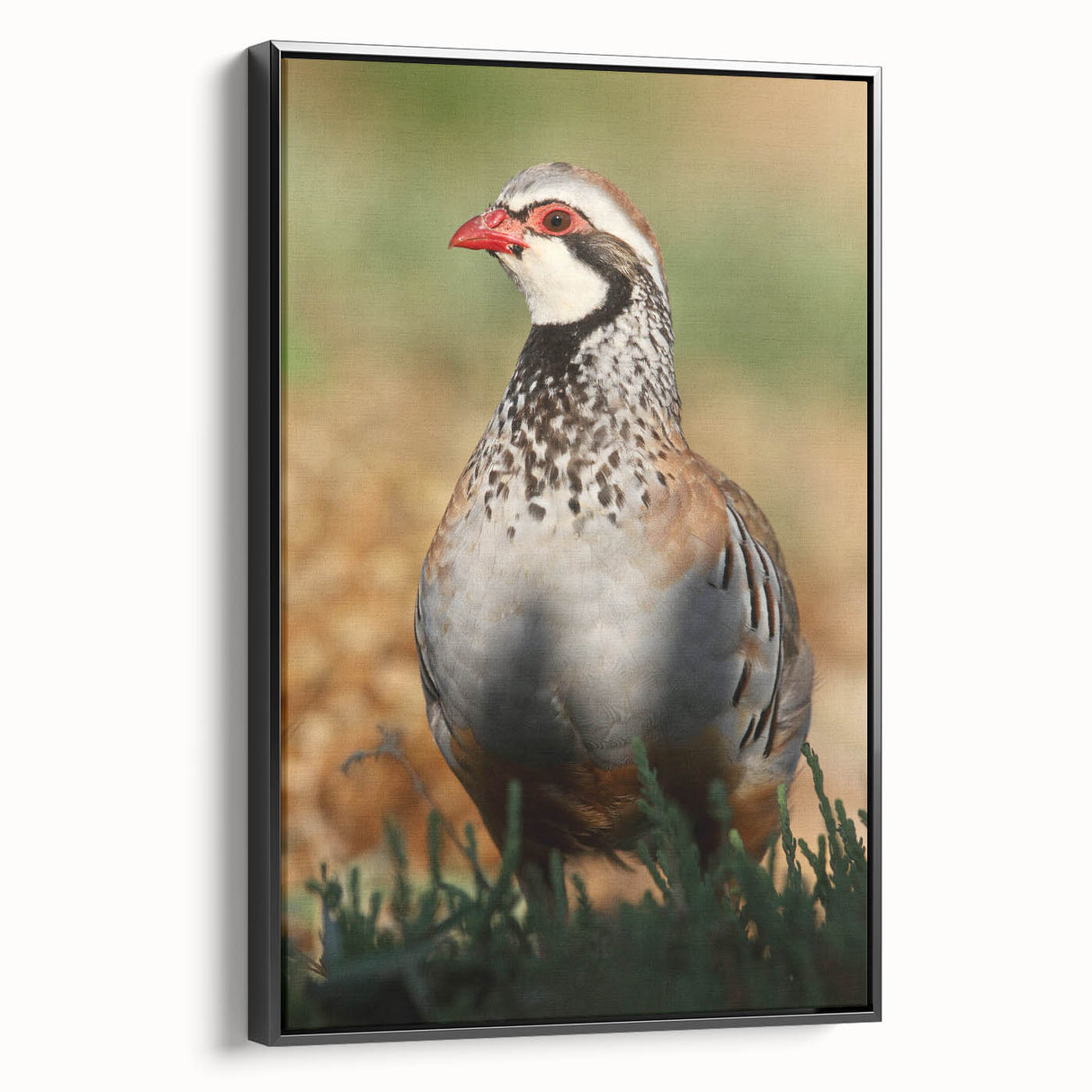 Framed canvas print showcasing a vibrant abstract design with bold colors and textures, viewed from the side, perfect for modern home decor and artistic spaces.