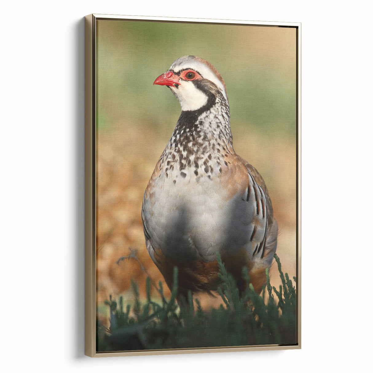 Framed canvas artwork featuring an abstract design with vibrant gold accents, showcased in a side view to highlight its luxurious finish and depth. Ideal for enhancing modern home decor with elegance.