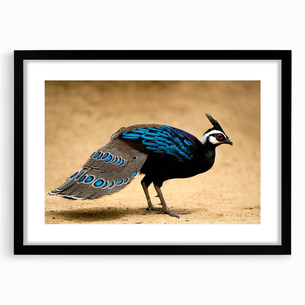 Black picture frame with a white mat, showcasing a blank canvas, ideal for displaying art or photographs, set against a neutral background for emphasis.