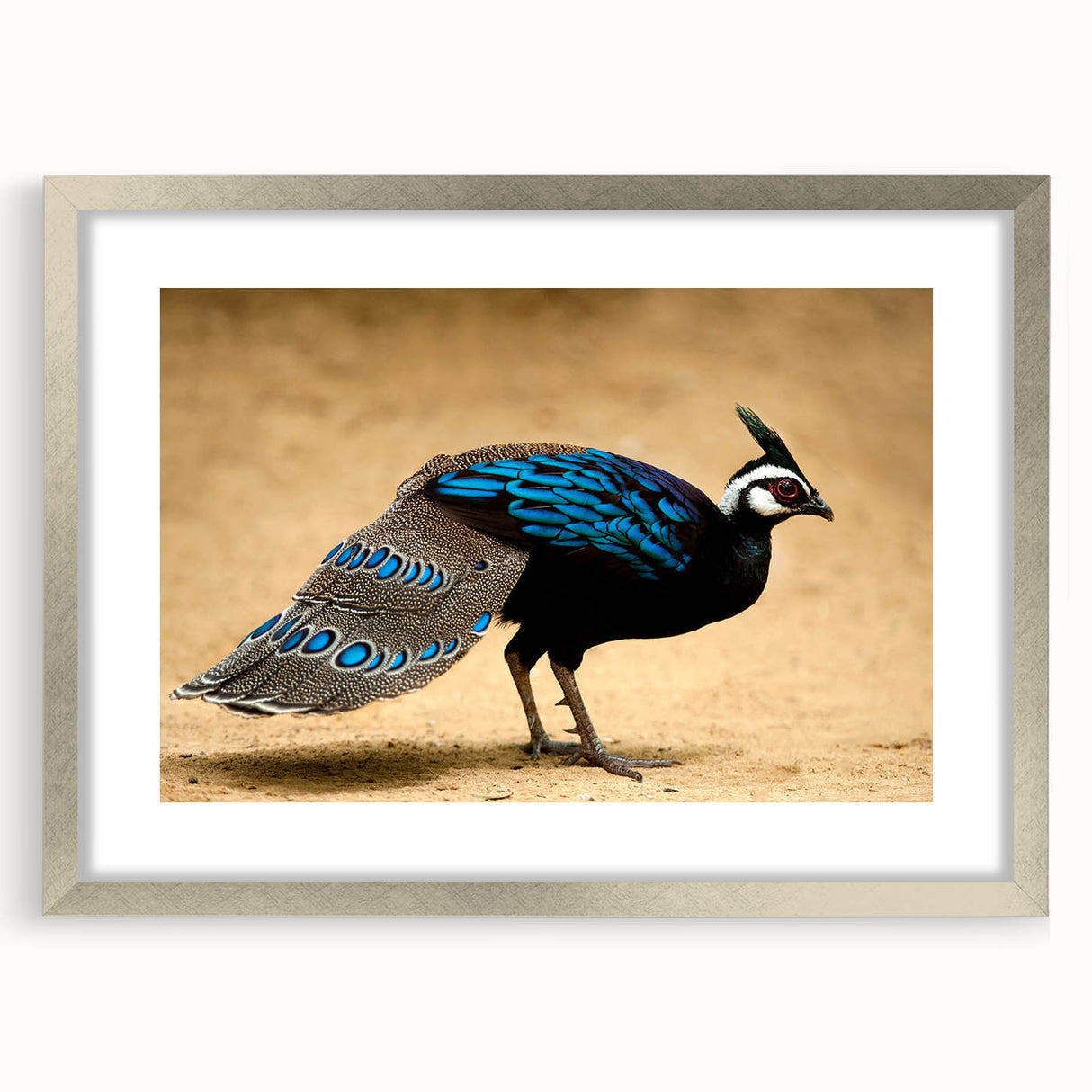 Elegant silver picture frame showcasing a matted artwork, viewed from the front. Ideal for home decor, highlighting modern aesthetics and versatile styling options.
