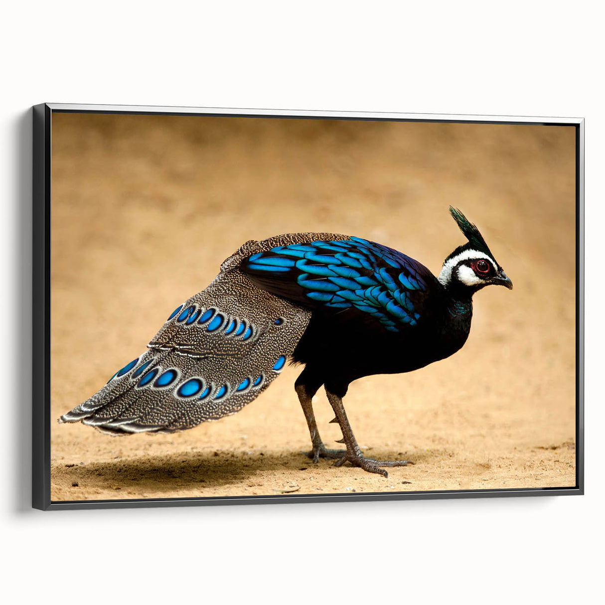 Framed canvas print showcasing a vibrant abstract design with a black frame, viewed from the side. Ideal for contemporary home decor or art enthusiasts.