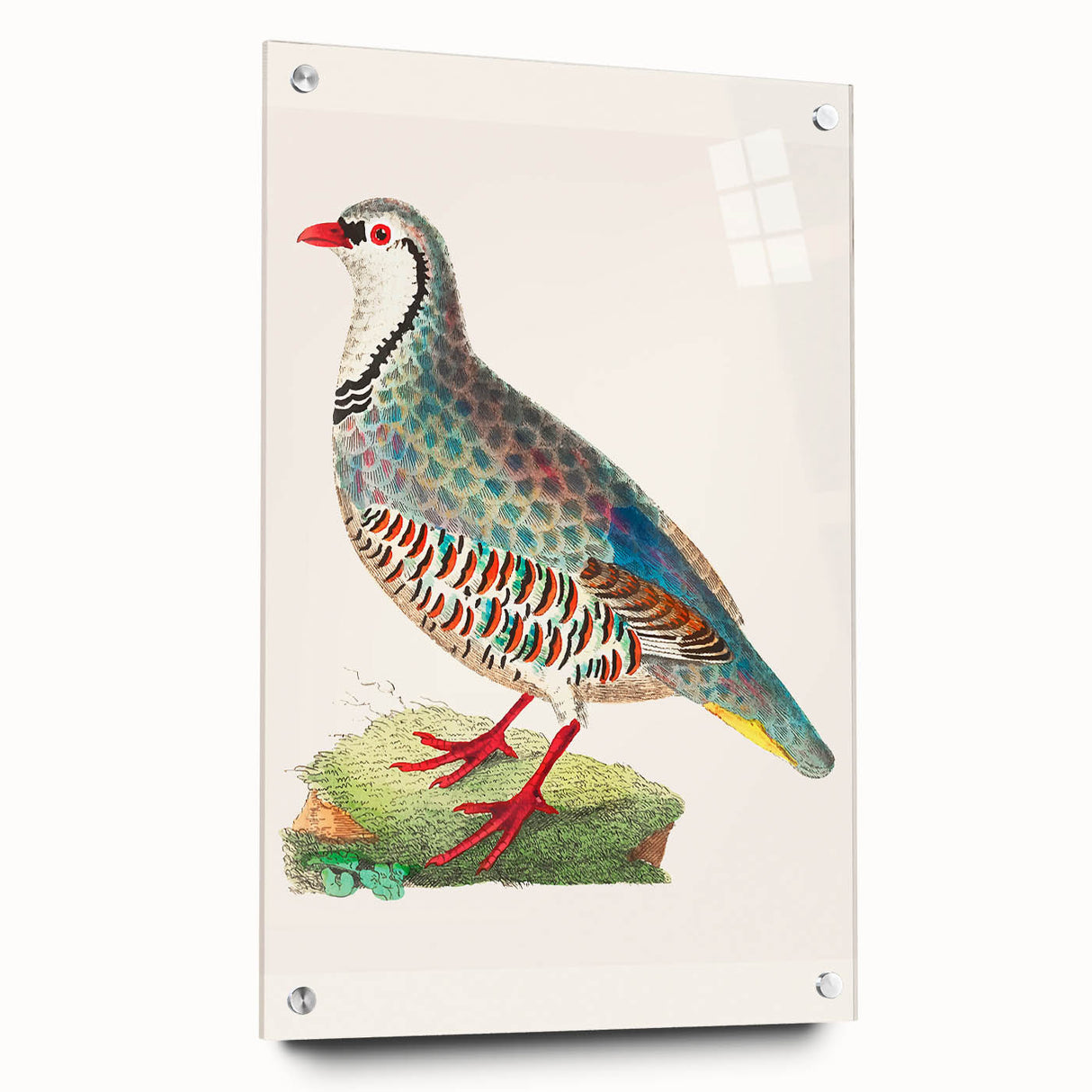 Acrylic glass side view showcasing multiple colorful pins arranged in an artistic pattern against a white background, perfect for modern decor and organization.
