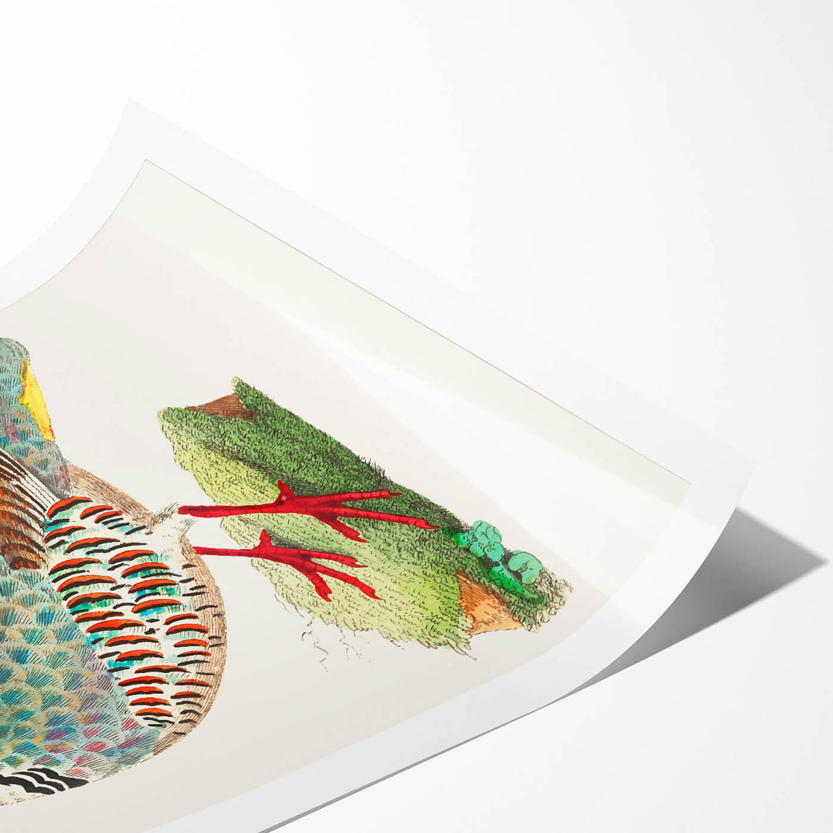 Rolled canvas print showcasing vibrant African tribal art design with intricate patterns, securely packaged in a protective cardboard tube for safe transport.