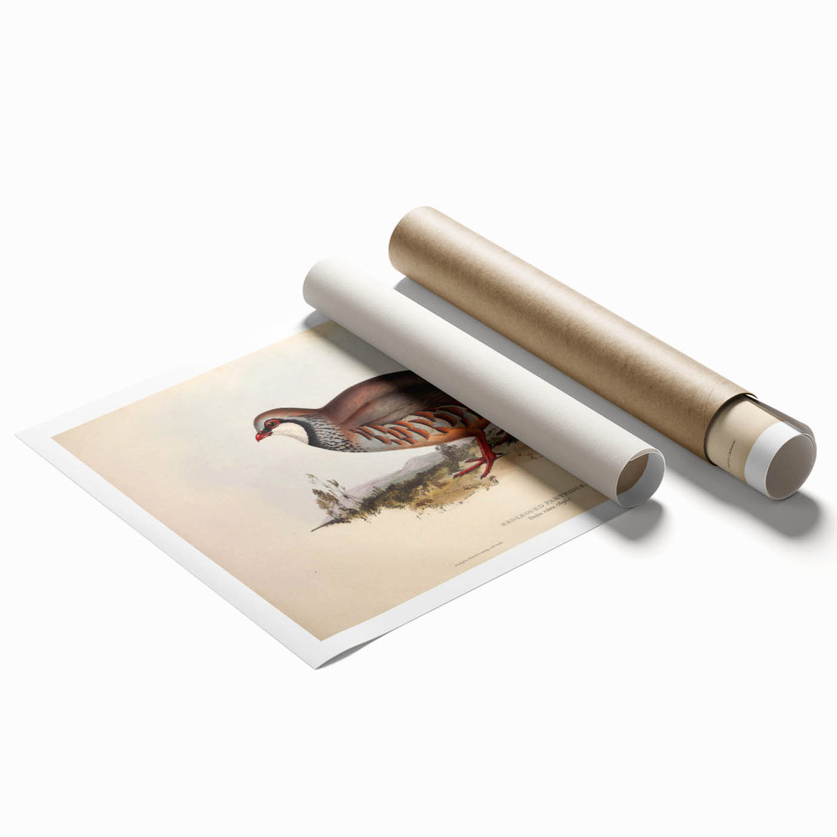 Rolled canvas showcasing vibrant African tribal wall art, featuring intricate patterns and rich colors, securely packaged in a durable cardboard tube for safe shipping.