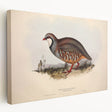 Stretched canvas print showcasing vibrant African tribal art in bold colors, viewed from the side, highlighting its textured finish and gallery-ready edges.
