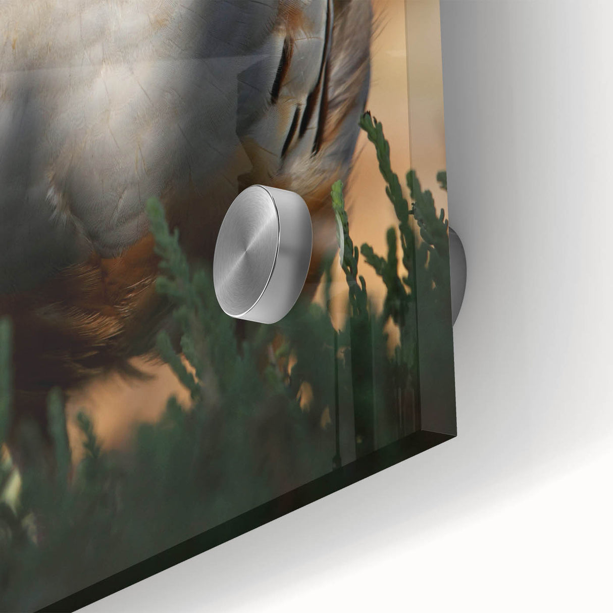 Close-up of a translucent acrylic glass sheet showcasing vibrant hues and intricate textures, perfect for modern art displays and contemporary home decor.