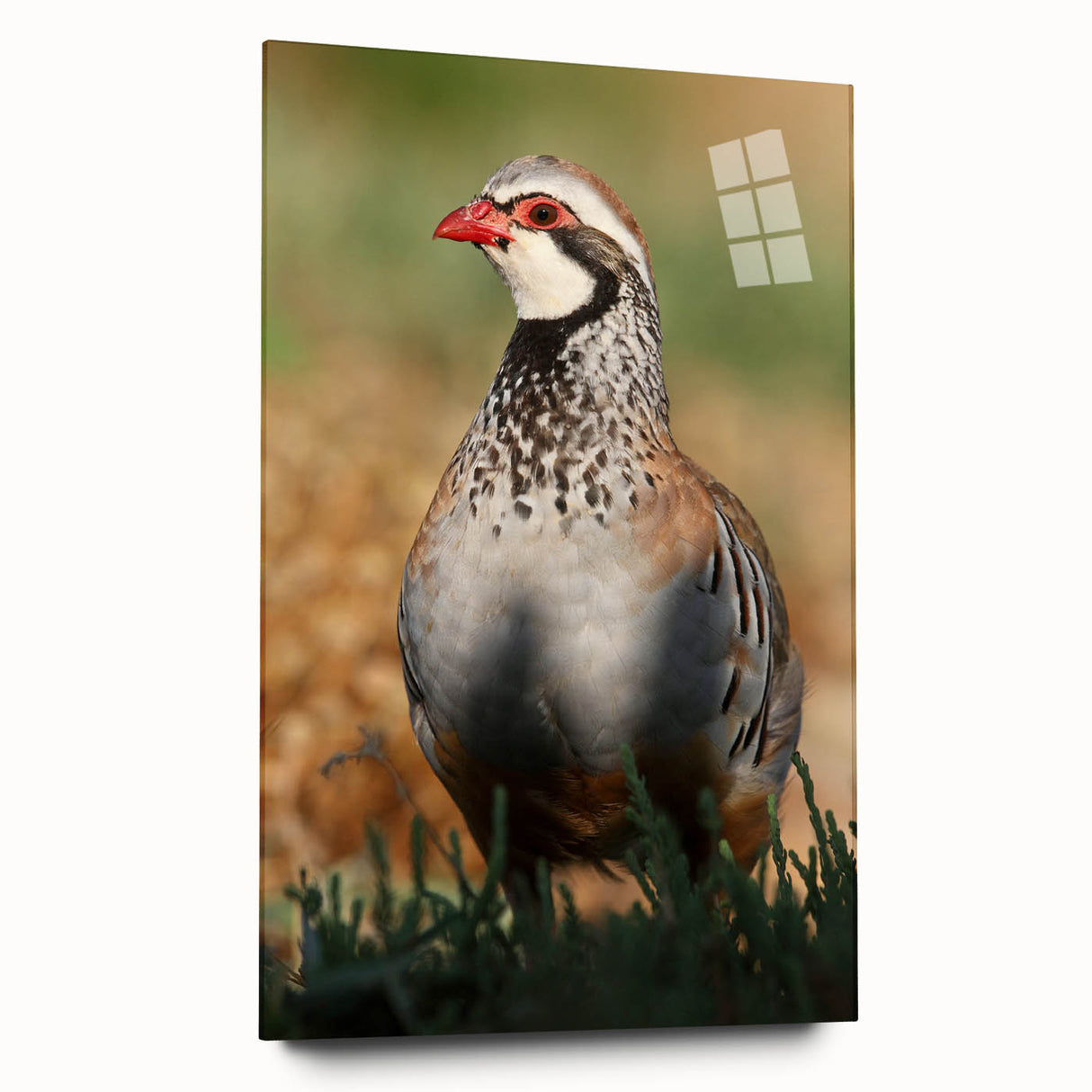 Acrylic glass sheet displayed from the side, showcasing a clear, glossy finish and smooth edges, ideal for framing artwork or photography. Perfect for modern home decor.