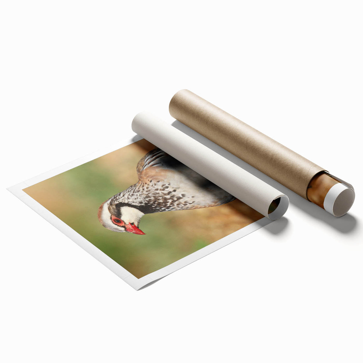 Rolled print of vibrant African wall art showcasing intricate tribal patterns in rich colors, securely packaged in a protective cardboard tube for safe delivery.