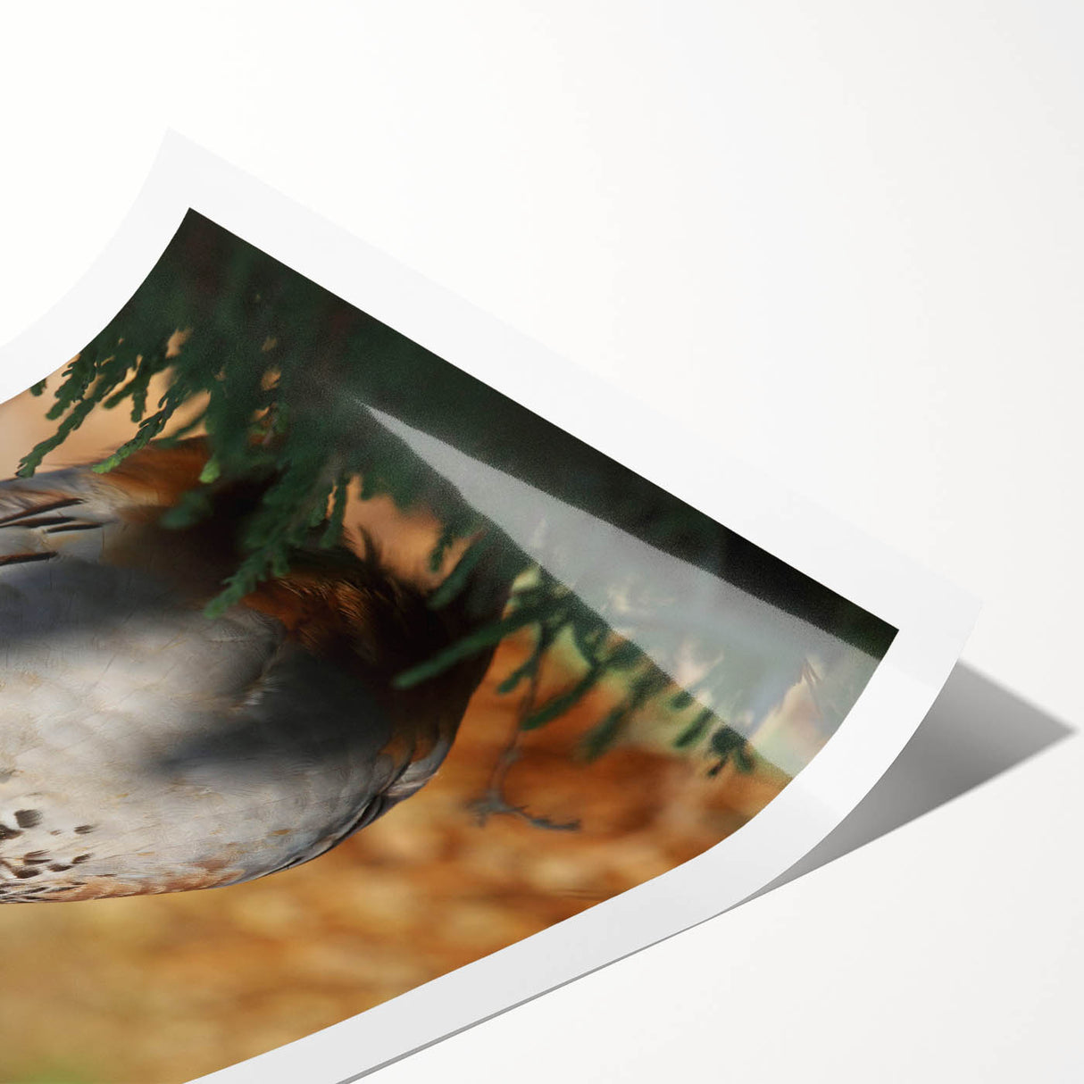 Rolled canvas print showcasing vibrant African tribal wall art with intricate patterns and textures, securely packaged in a protective cardboard tube for shipping.