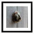 Extra large, textured abstract art print featuring vivid, colorful strokes on a framed canvas.
