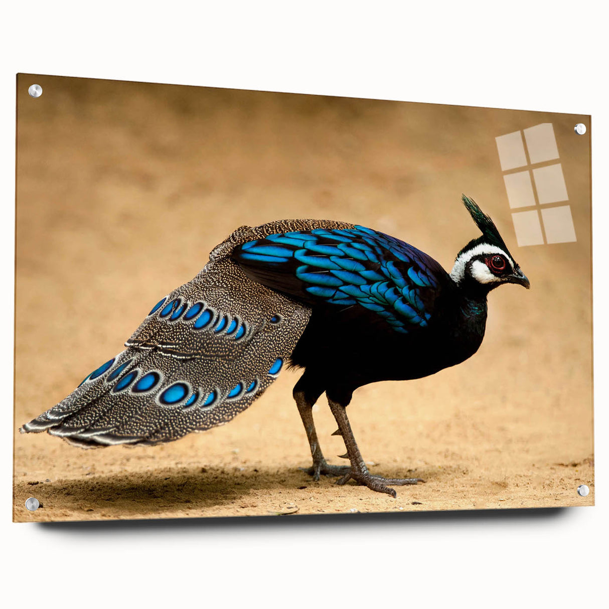 Acrylic glass panel showcasing a side view with visible pins, highlighting its clear surface and polished edges, ideal for modern decor or display applications.