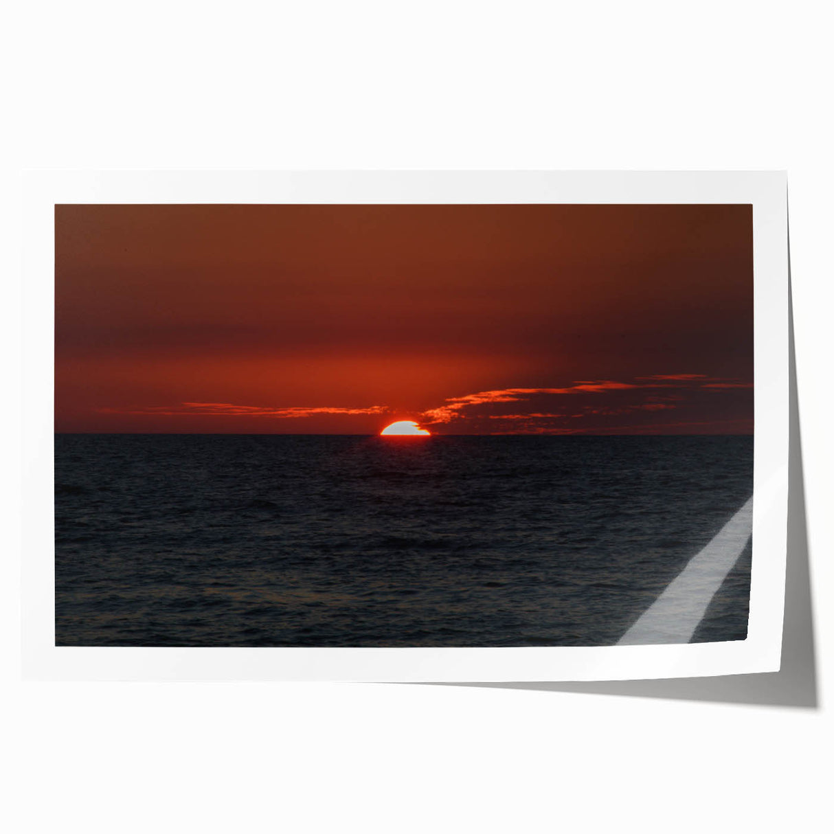Extra large rolled canvas print featuring a detailed floral design in soft pastel shades.