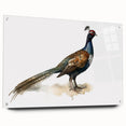Acrylic glass panel displaying a sleek side view, showcasing vibrant colors and intricate details, secured with metal pins for stability, ideal for modern decor.