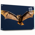 Acrylic glass sheet viewed from the side, showcasing a sleek, clear finish with metal pins for mounting, ideal for modern interior decor and art displays.