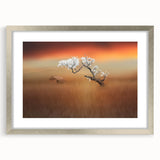 Blossoming Tree at Sunset - Fine Art Photography Canvas Prints