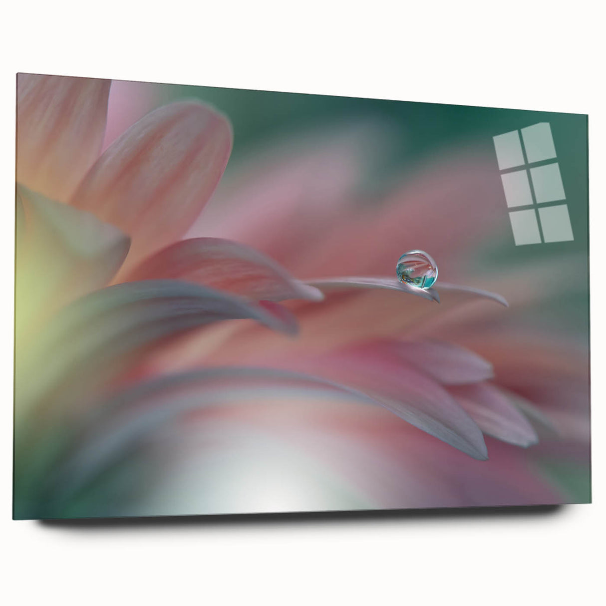 Dreamy Macro Floral - Soft Pastel Fine Art Photography