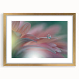 Dreamy Macro Floral - Soft Pastel Fine Art Photography
