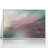 Dreamy Macro Floral - Soft Pastel Fine Art Photography