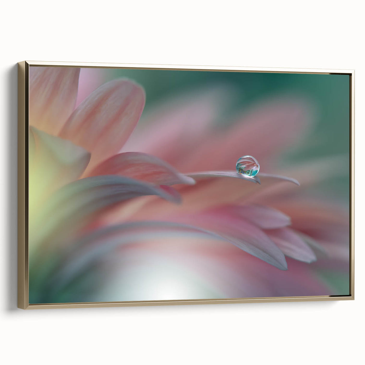 Dreamy Macro Floral - Soft Pastel Fine Art Photography