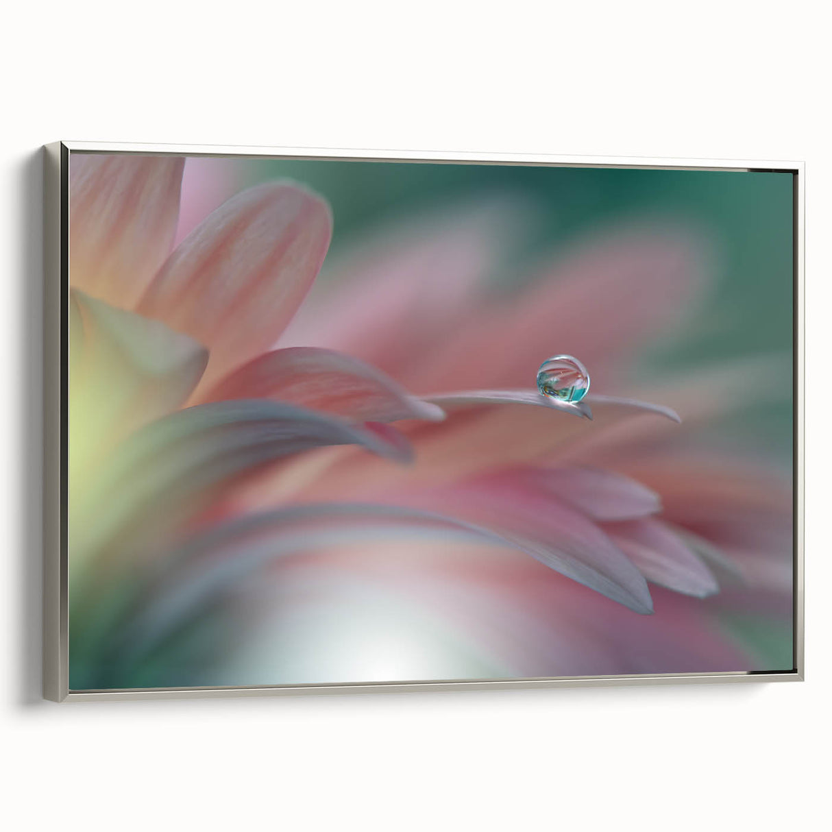 Dreamy Macro Floral - Soft Pastel Fine Art Photography