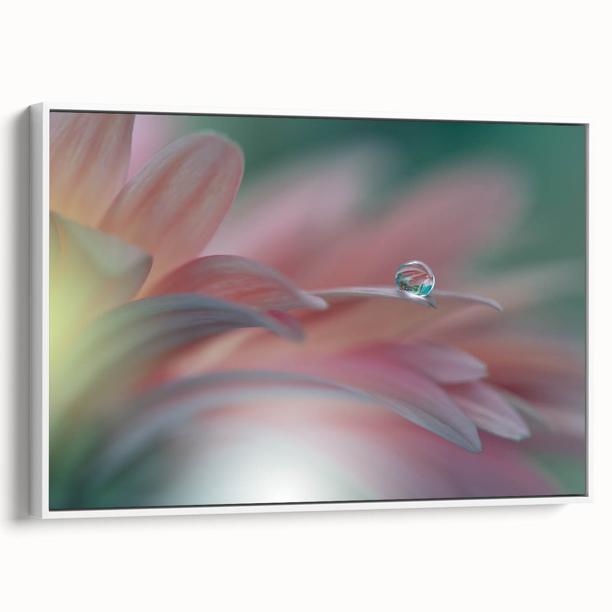 Dreamy Macro Floral - Soft Pastel Fine Art Photography