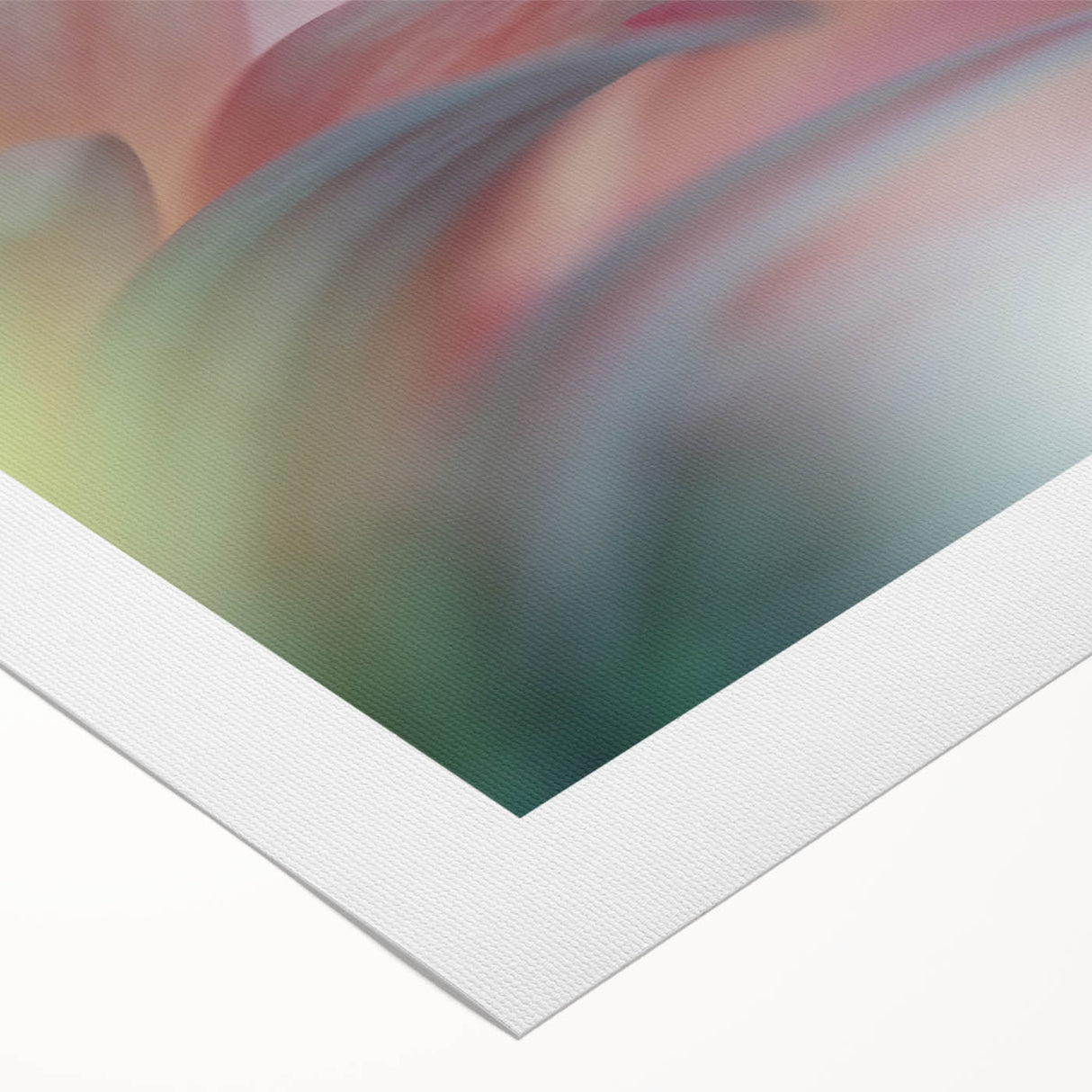 Dreamy Macro Floral - Soft Pastel Fine Art Photography