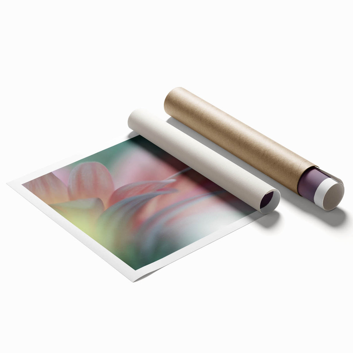 Dreamy Macro Floral - Soft Pastel Fine Art Photography