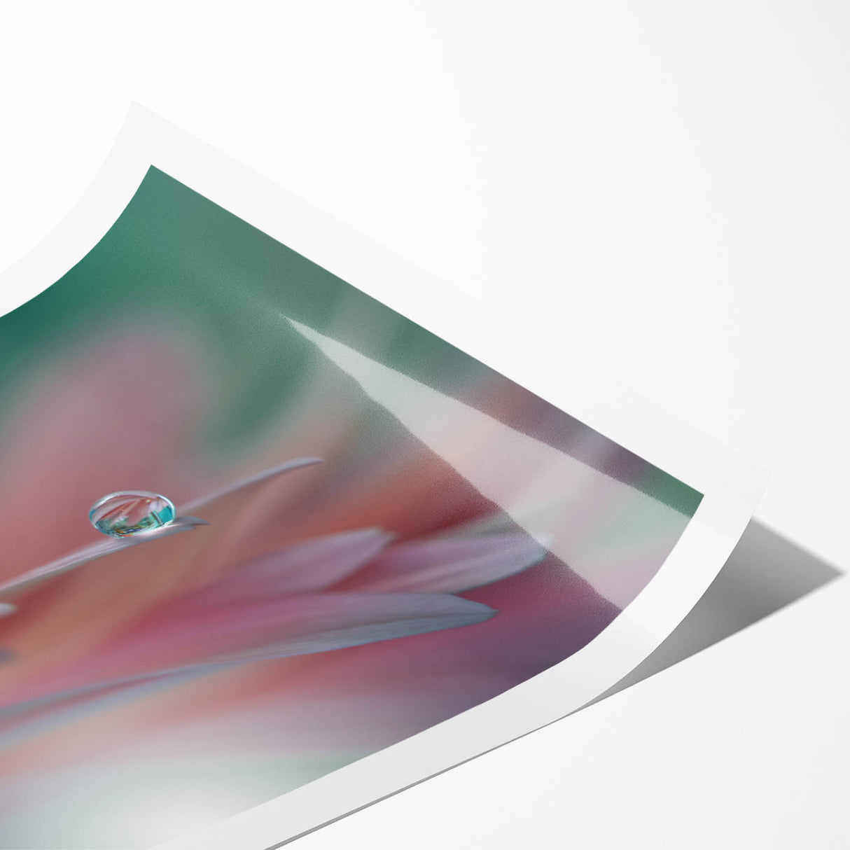 Dreamy Macro Floral - Soft Pastel Fine Art Photography