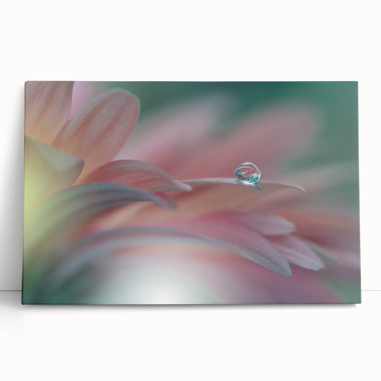 Dreamy Macro Floral - Soft Pastel Fine Art Photography