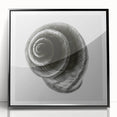 Minimalist Shell Close-Up – Black & White Fine Art Photography Print