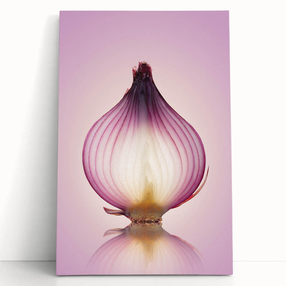 Translucent Red Onion – Fine Art Kitchen Photography Print