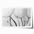 Ethereal Dandelion Seeds – Black & White Fine Art Photography